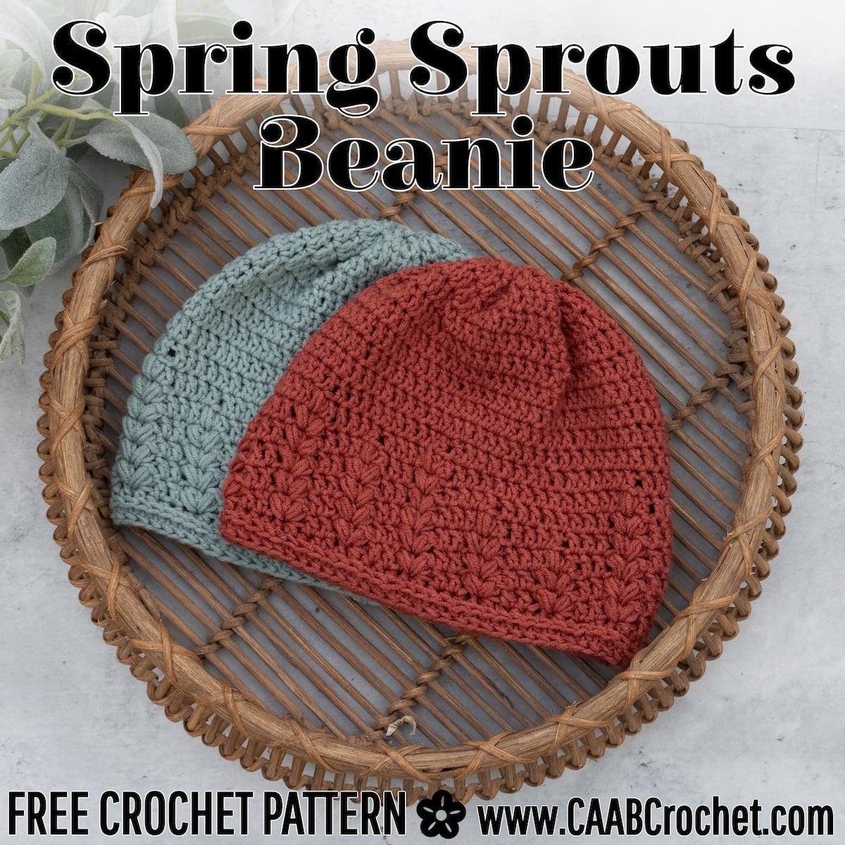 Spring Beanie Spring Beanie Crochet Pattern | Spring Sprouts Beanie - CAAB Crochet
